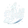 Stellar Spins